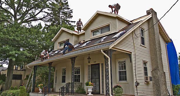 Best Roof Gutter Cleaning  in Mcadenville, NC
